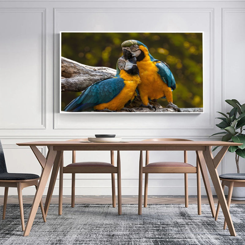 Quadro Casal De Araras