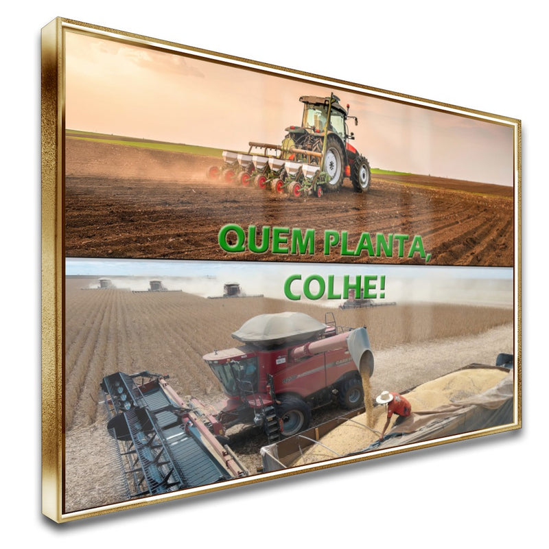 Quadro Quem Planta Colhe